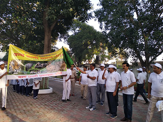 jharkhand-forest-gallery 