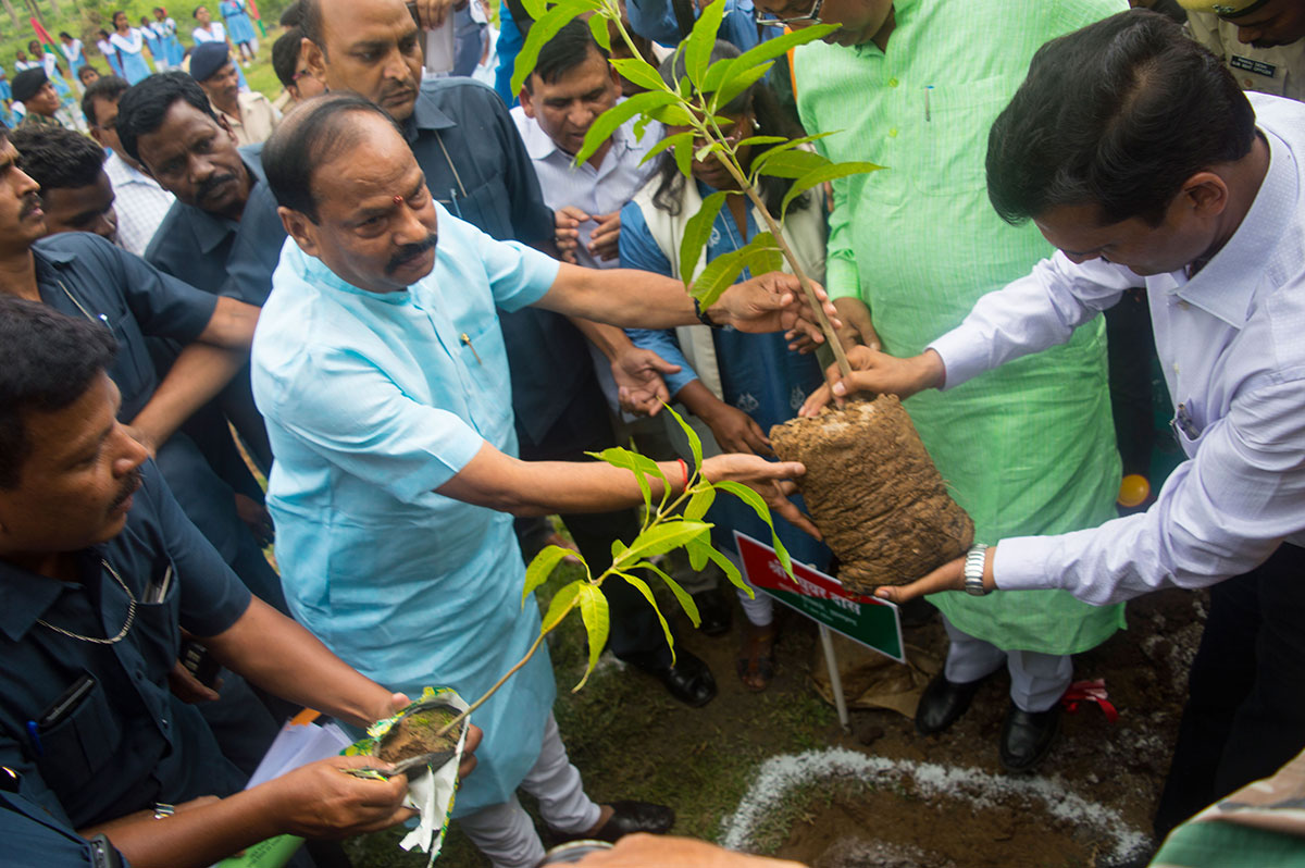 jharkhand-forest-gallery 