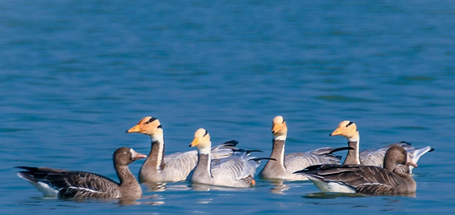 Hazaribagh Wildlife Sanctuary