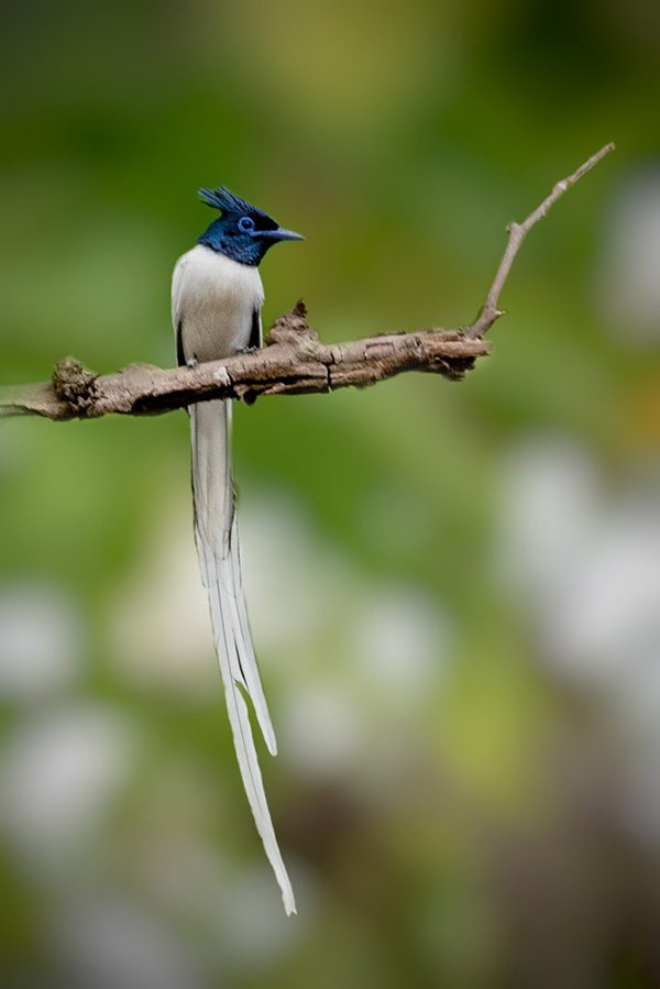 Lawalong Wildlife Sanctuary