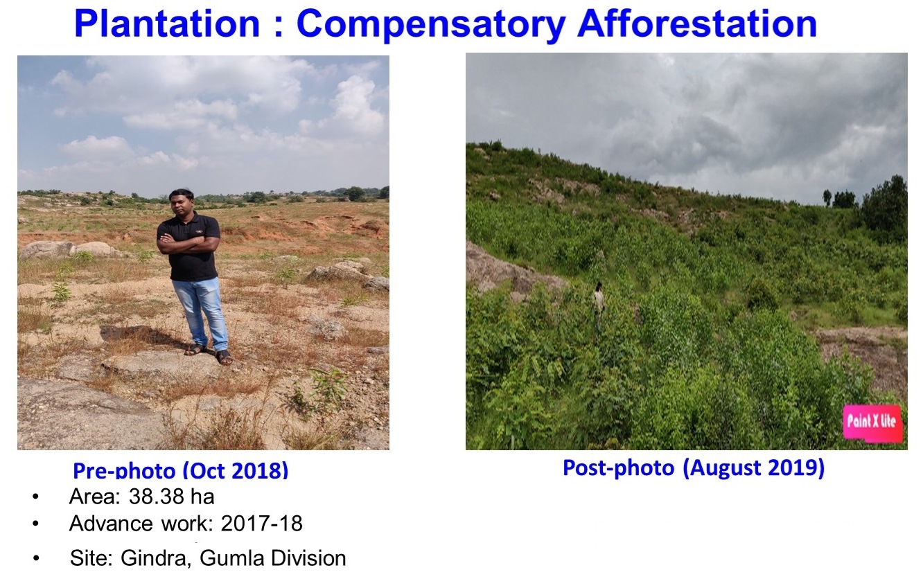 Plantation Compensatory Afforestation