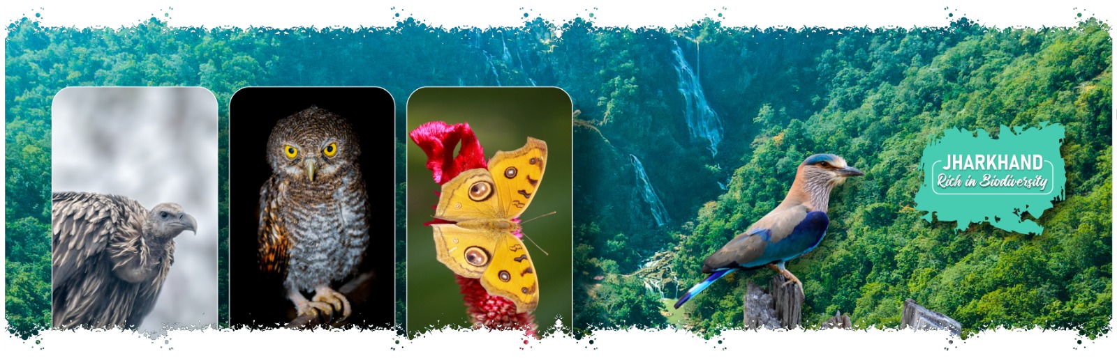 Rich_in_Biodiversity