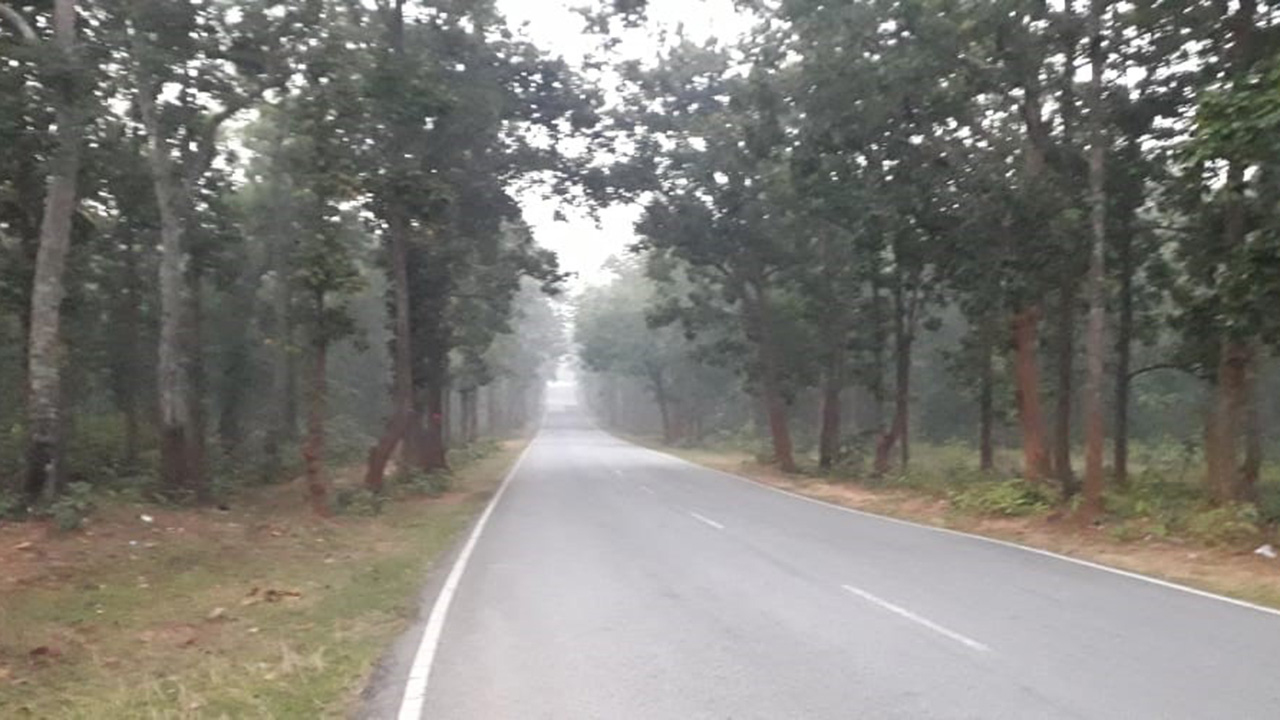 Palkot Wildlife Sanctuary, Gumla