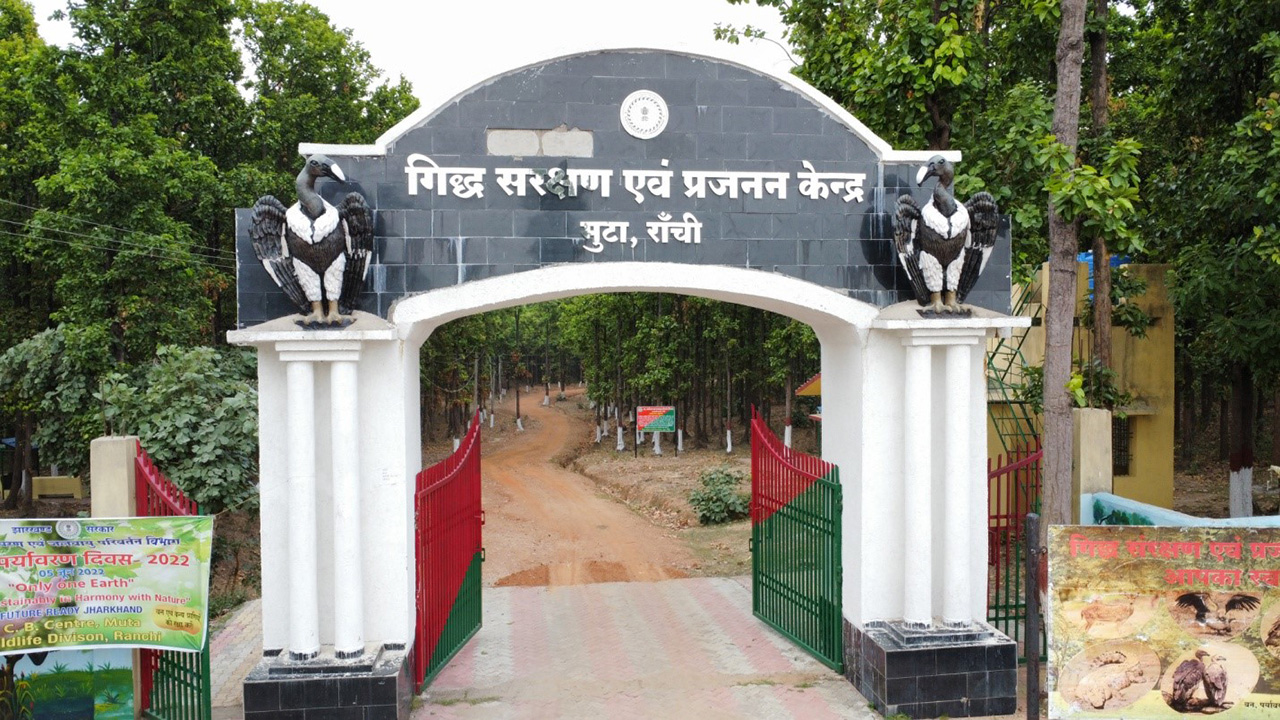 Crocodile Breeding Centre, Muta