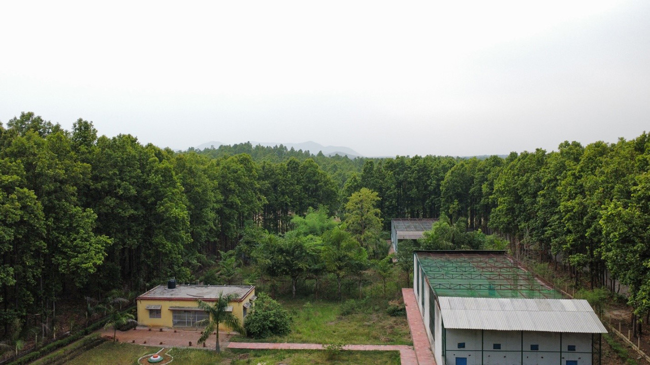 Vulture Conservation and Breeding Centre Muta